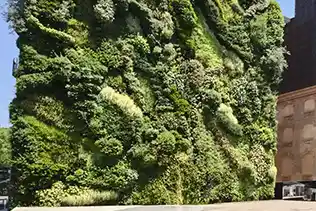 dış mekan dikey bahçe