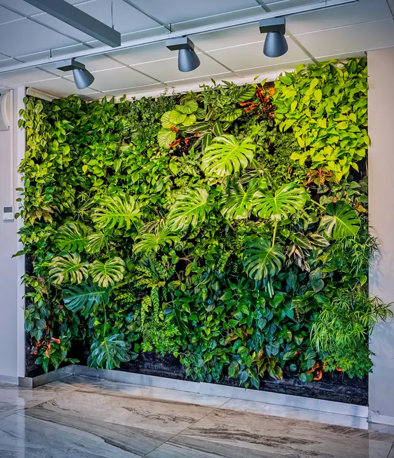 iç mekan dikey bahçe uygulaması özgün bir örneği