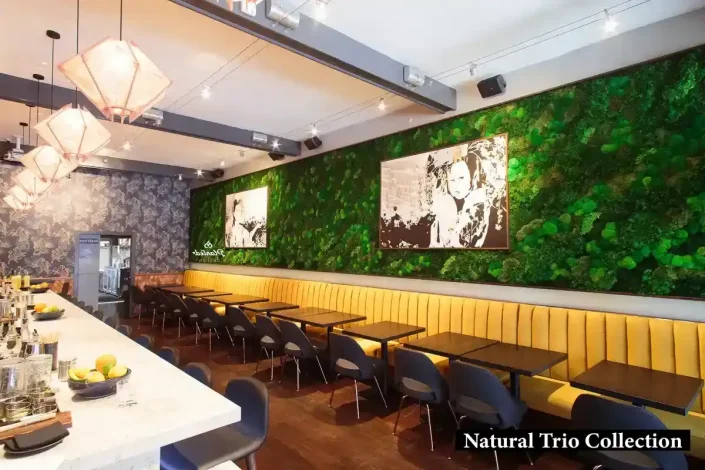 Işıklı_Yosun_Duvar_lokanta