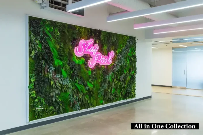 Işıkla_Yosun_Duvar