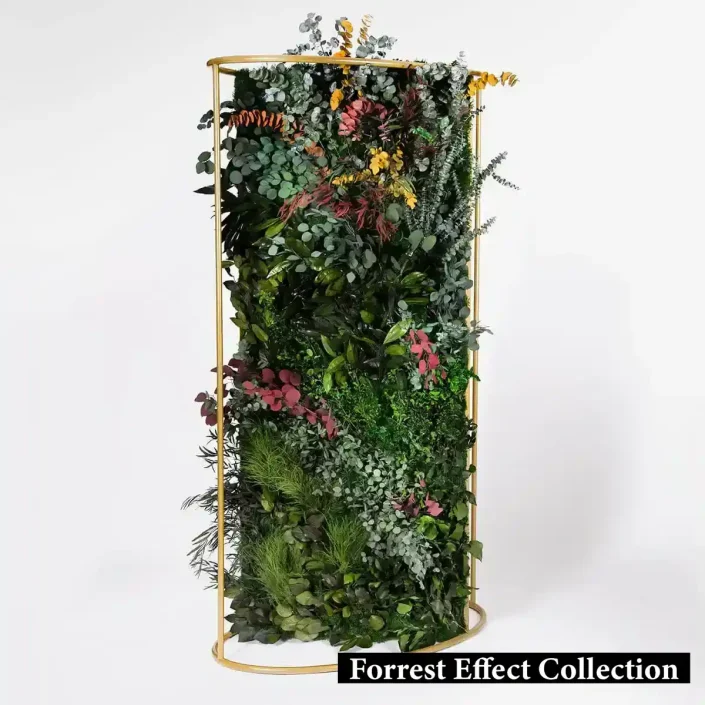 Mumyalanmış bitki paneli