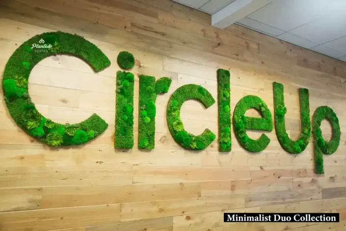 Ozel_Yosun_Duvar_Tasarimlari