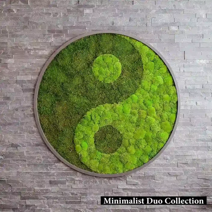 Sakin_Yosun_Duvar_Ambiansi