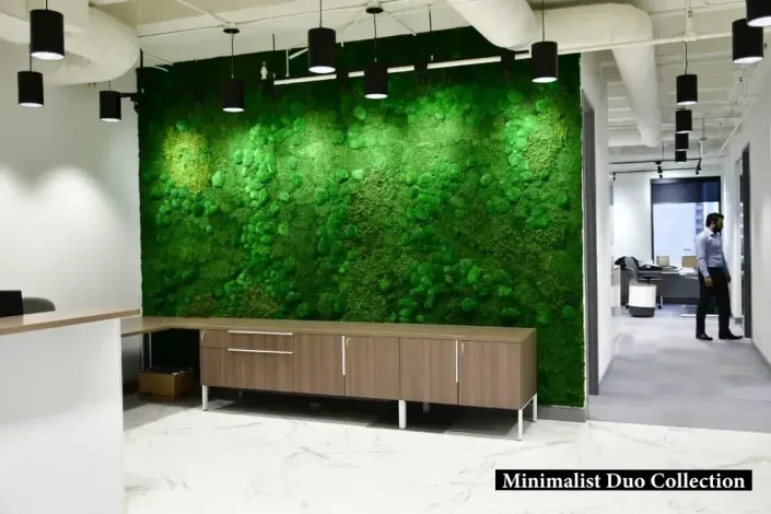 Şehirde_Yosun_Duvar