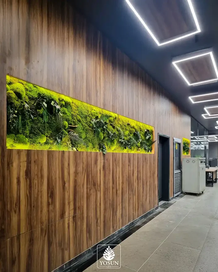 all in one 2 ankara yosun duvar