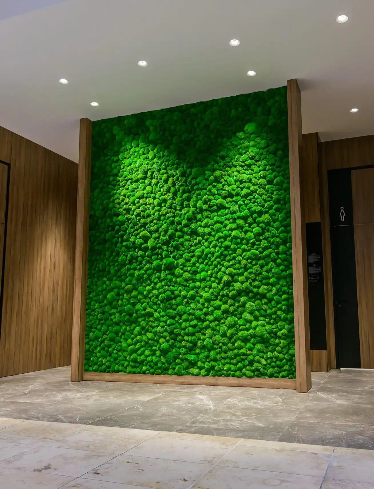 ball moss yosun duvar uygulaması