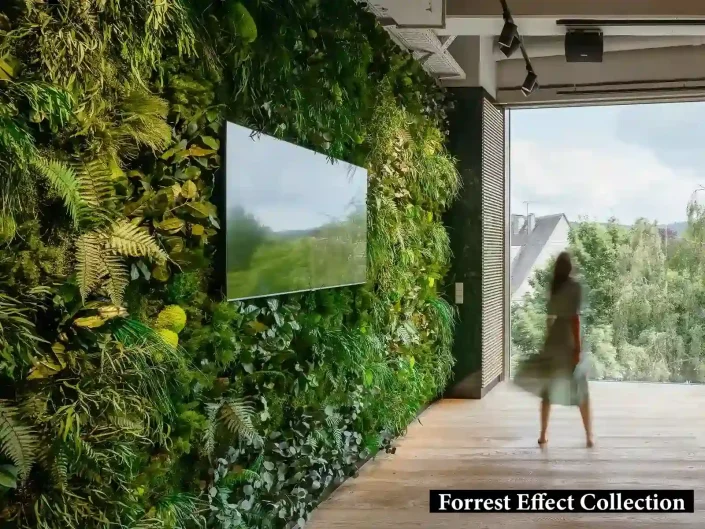 bitki kaplanmış duvar iç mekan