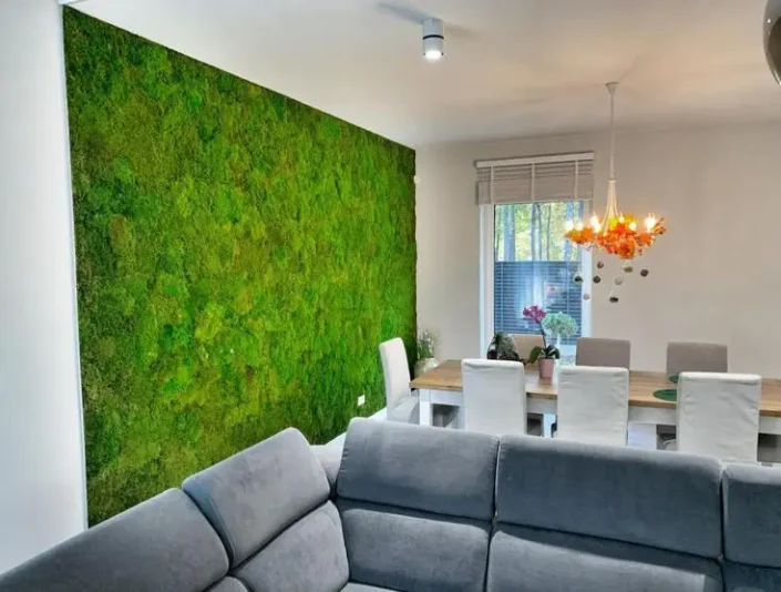 flatmoss ev ortamı yosun duvar