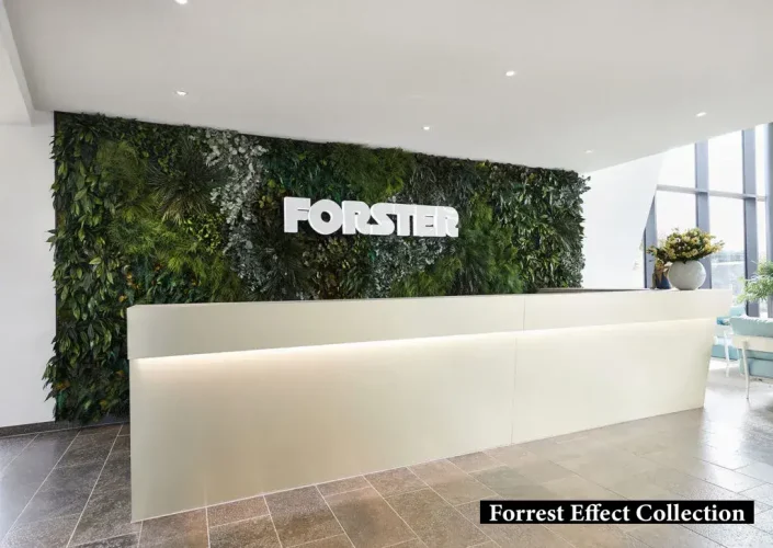 mumyalanmış bitki duvarı