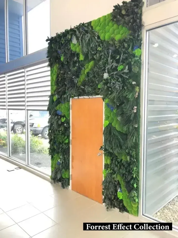 stabilize bitki duvarı