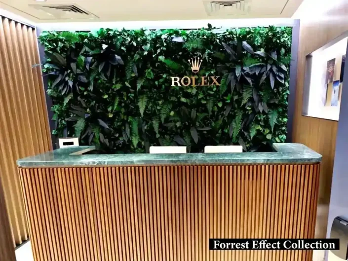 stabilize bitki ile kaplanmış duvar