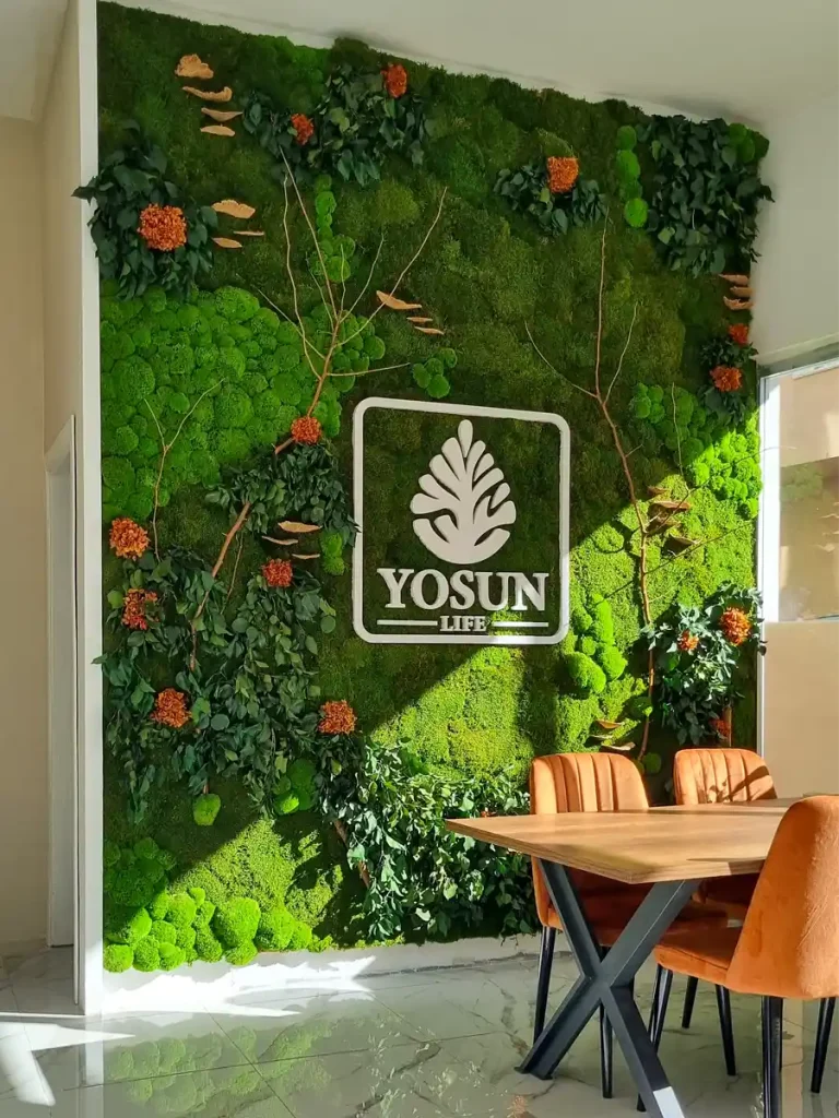 yosun duvar yosunlife