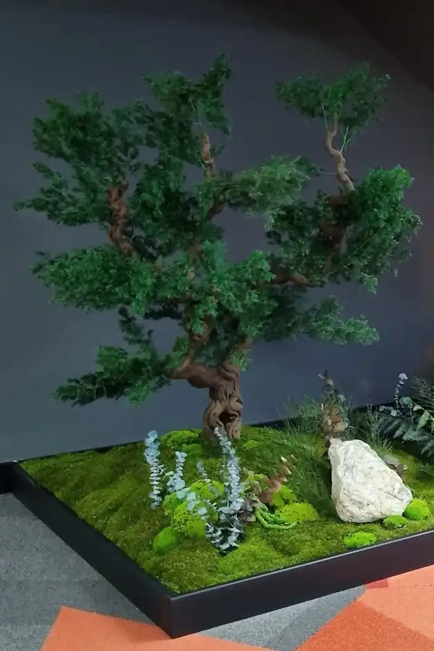 mumyalanmış bonzai ağacı