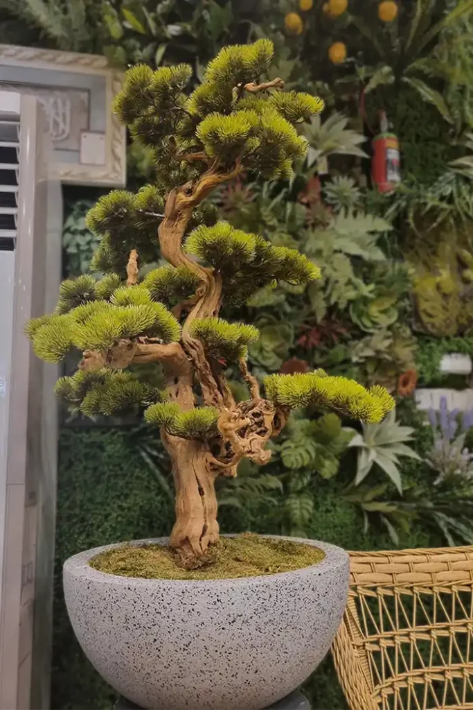 Yapay bonzai ağacı uygulaması