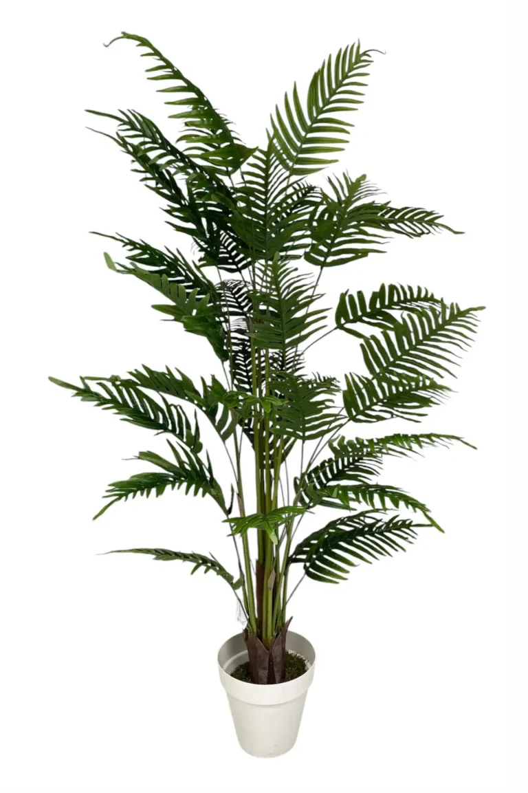 YAPAY ARECA 160 CM