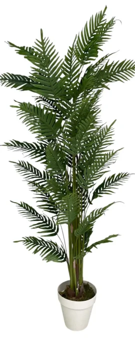 YAPAY ARECA 200 CM