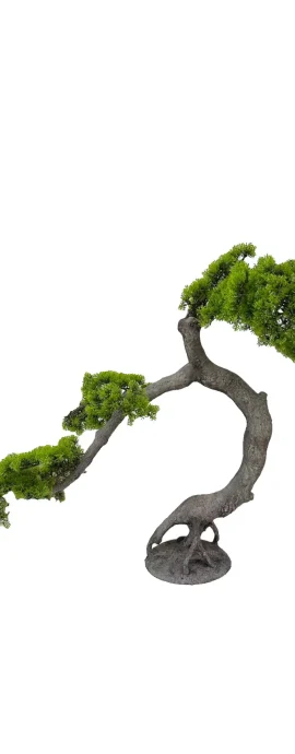 YAPAY BONSAİ
