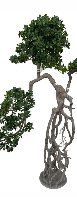 YAPAY BONSAİ 4