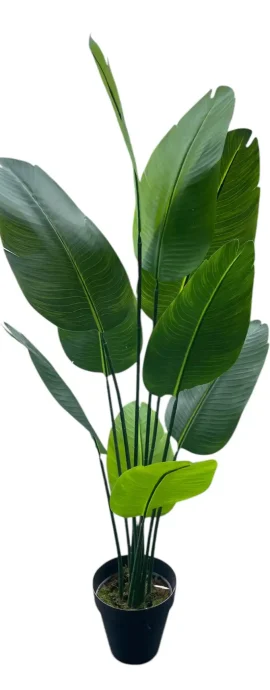 YAPAY KISA STARLİÇE